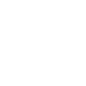 AEL Systems Logo White
