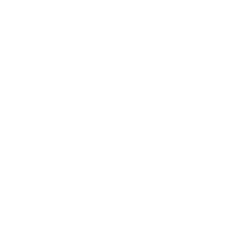 AEL LOGO White